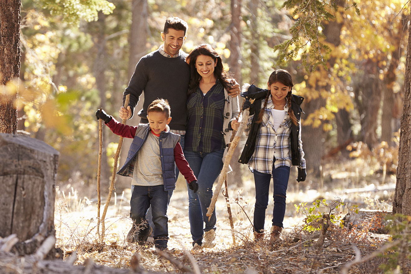 Famille en promenade dans la forêt, profitant de la nature et du calme - 1320x880