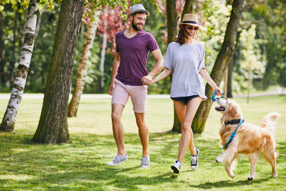 Jeune couple courant et jouant avec leur chien durant une promenade dans un parc