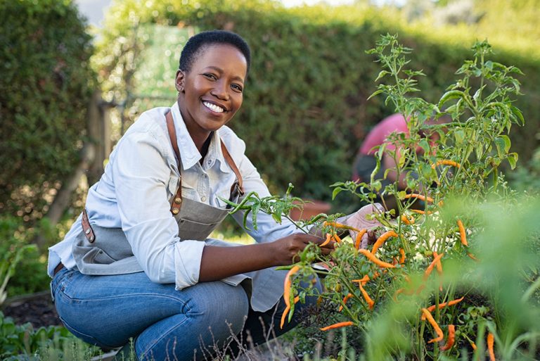 Femme qui jardine des plantes naturelles