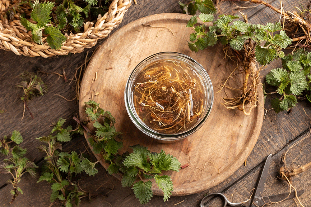 Quels sont les bienfaits de la tisane d'ortie ?