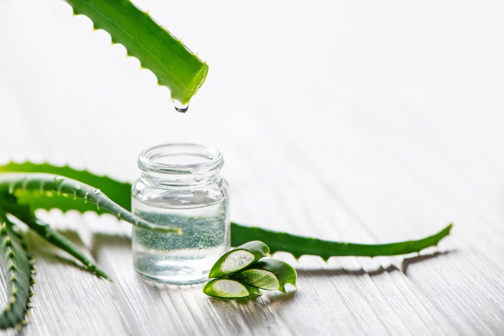 Feuilles d'aloe vera